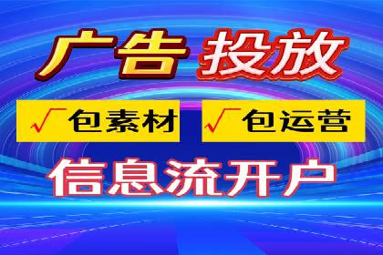 行业领先企业的SEM代理案例剖析